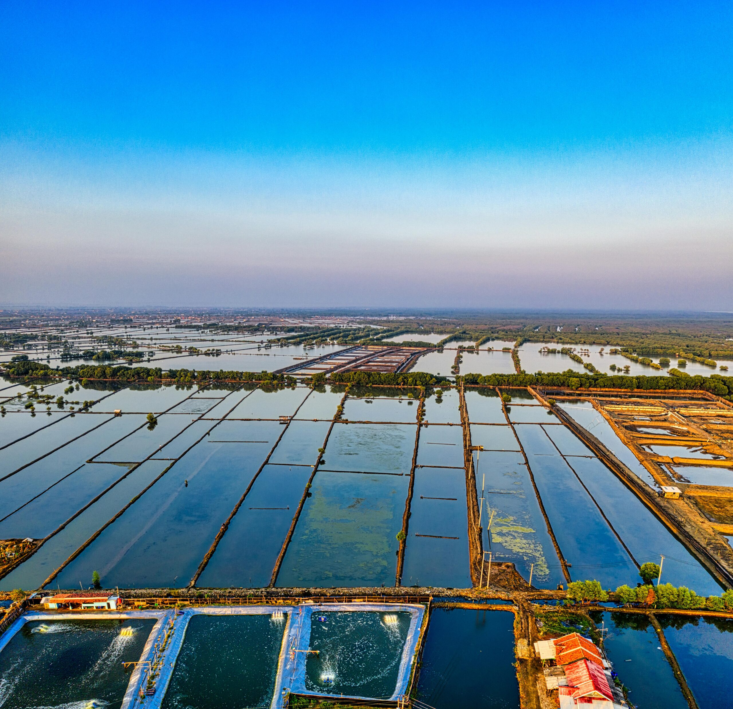 Stunning aerial view of aquaculture ponds in West Java, capturing the vibrant landscape and blue sky.